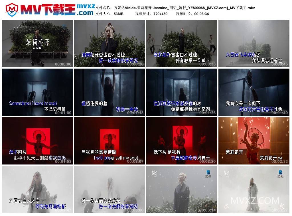 万妮达Vinida-茉莉花开 Jasmine_国语_流行_YE800068